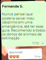 depoimento Fernanda S